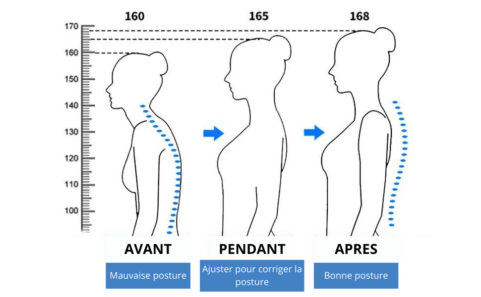 Sangles dorsales | Correcteur de posture